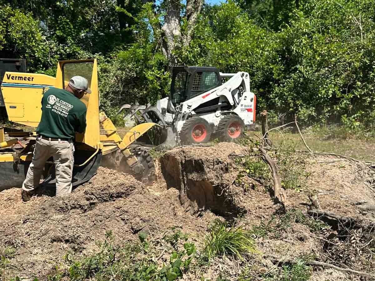 El Costeño Tree Service LLC